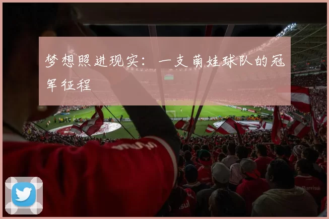 梦想照进现实:一支萌娃球队的冠军征程