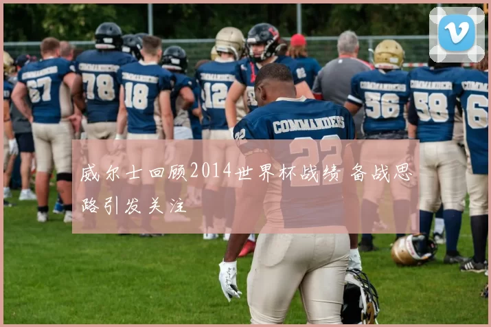 威尔士回顾2014世界杯战绩 备战思路引发关注