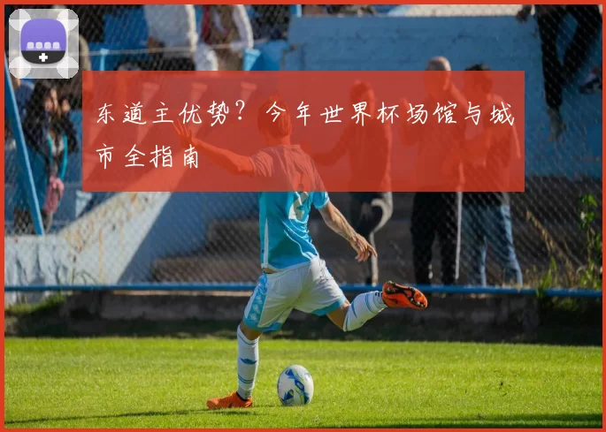 东道主优势?今年世界杯场馆与城市全指南