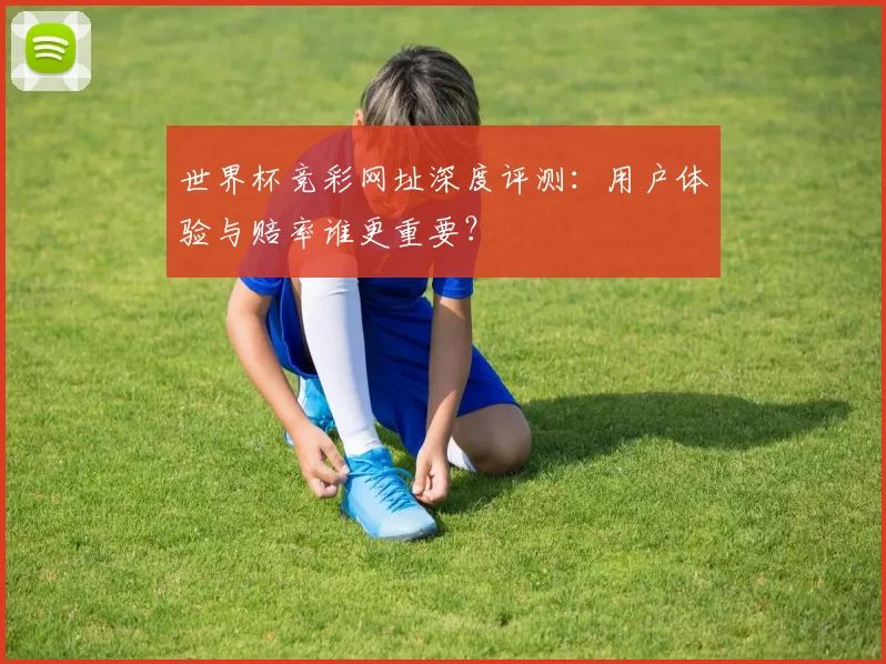 世界杯竞彩网址深度评测：用户体验与赔率谁更重要？
