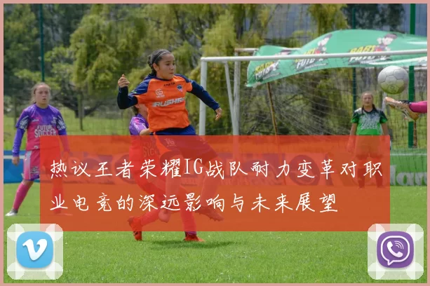热议王者荣耀IG战队耐力变革对职业电竞的深远影响与未来展望