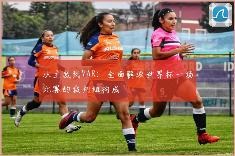 从主裁到VAR：全面解读世界杯一场比赛的裁判组构成