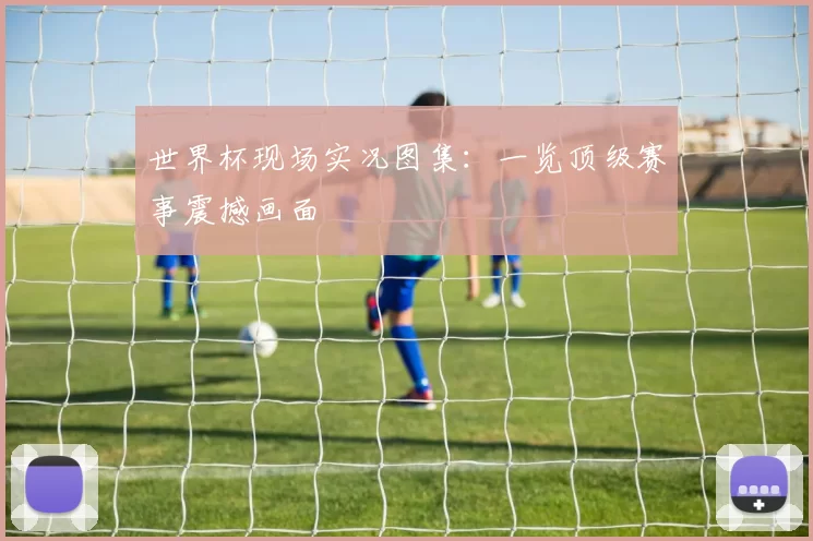 世界杯现场实况图集：一览顶级赛事震撼画面