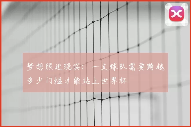 梦想照进现实:一支球队需要跨越多少门槛才能站上世界杯
