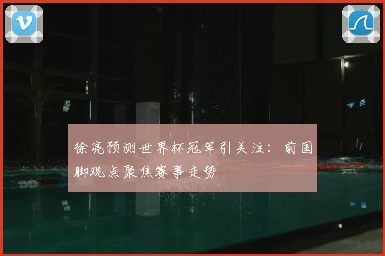 徐亮预测世界杯冠军引关注:前国脚观点聚焦赛事走势